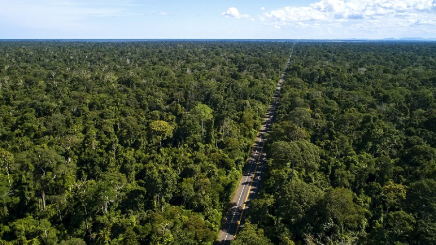 BR-101 terá redução de velocidade em trecho de reserva ambiental no ES